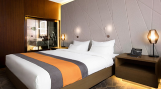 Гостиница Tigre de Cristal Resort & Casino  Артем Стандартный двухместный номер с 1 кроватью-1